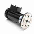 Leeson 0.06 Hp Dc Gearmotor, 60 Rpm, 90 V, 30 Frame, Tenv M1125003.00